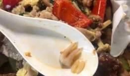 窑鸡外卖爆料视频,美味瞬间送达，揭秘网红美食背后的制作过程