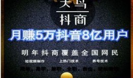 查看抖音新闻爆料,揭秘网络热点背后的真相